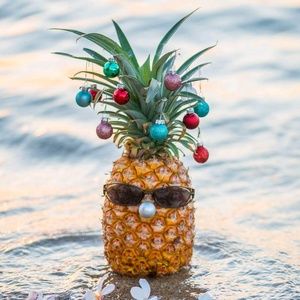 Meet your Posher, Mistie